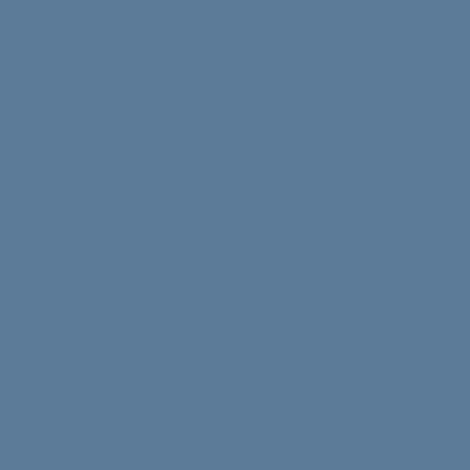 5L-bleu rustique-Peinture sol béton GORGO Livos (1/3)