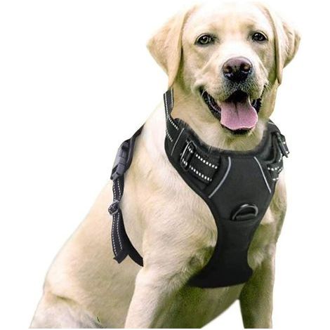 Harnais pour chien grand chien sans traction pour animal domestique avec 2 clips de laisse, harnais (1/5)