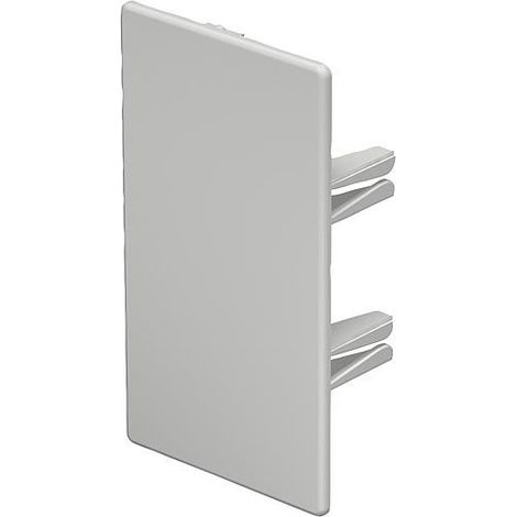 Embout gris clair type WDK/HE 60110 / 1 pc (1/4)