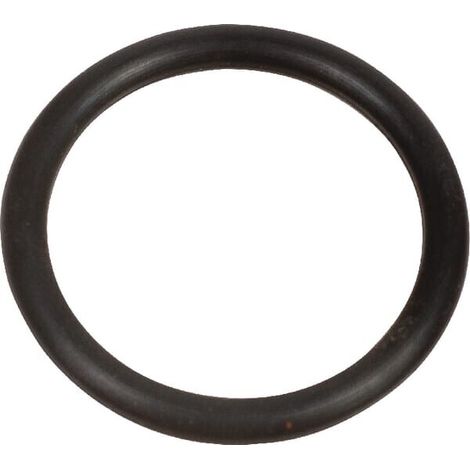 Dichtring Rundgummi 20x2,5 AGRIA AGW39350