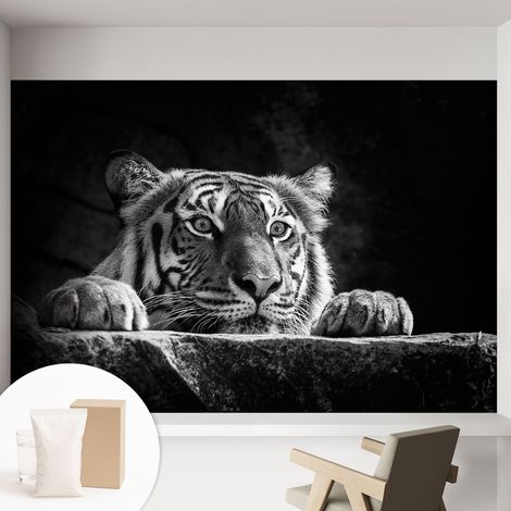 Papier peint intissé mural avec imprimé motifs uniques apparence moderne - Colle incluse gratuite Regard prédateur 152x104 cm (1/5)