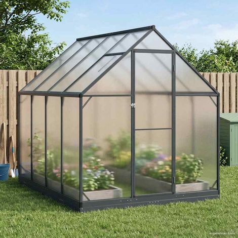 vidaXL Serre de jardin avec porte Anthracite 183,5 x 243,5 x 207 cm
