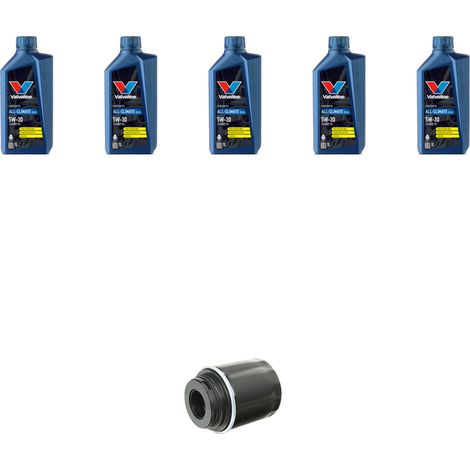 Kit filtro olio e 5L compatibile con Seat Ibiza IV 1.2 TSI 77kw dal 2010 (1/5)