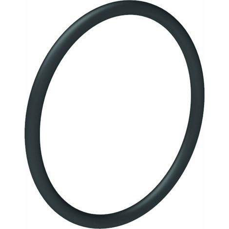 Gesipa Ersatzteil O-Ring 24 x 1,5 (1/2)