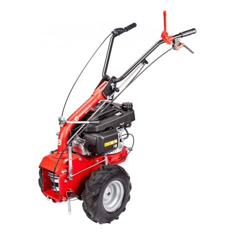 Cellule motrice porte-outils P55 EGO 56V Solo - EUROSYSTEMS (1/3)