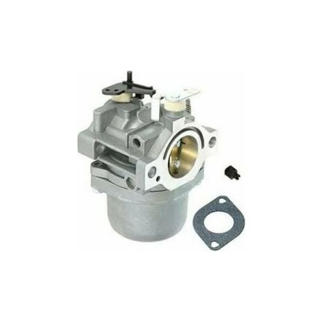 Carburateur Accessoires de Jardin de Remplacement de carburateur adaptés pour Briggs Stratton 799728 498027 12 HP 12.5 HP (1/3)