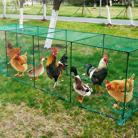 Tunnel d'élevage pour poules et volailles, enclos extérieur amovible et pliable, filet de protection contre les prédateurs pour jardin, vert (1/5)