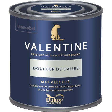 Dulux Valentine Peinture intérieure de haute qualité - Valentine - Couleur intense & pouvoir couvrant élevé - Mat Velouté Douceur de l'Aube 0,125 L