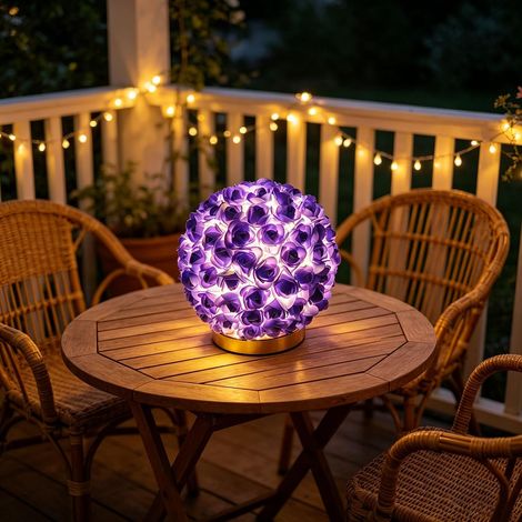Sollbry Lampe LED en forme de boule avec rose violette-Esthétique-Veilleuse décorative USB pour chambre de fille,décoration de fête,décoration de mariage (1/5)