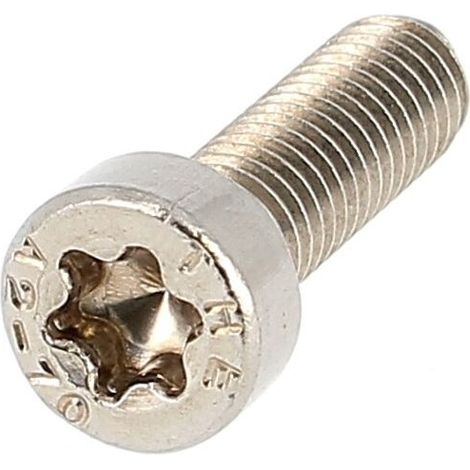 Flachkopf-Torx M5x40 Edelstahl A2 ISO 14580 - Flachkopf-Torx M5x40 Edelstahl A2 ISO 14580 (1/2)