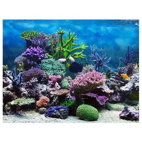 PVC adhésif sous-marin corail Aquarium fond de réservoir de poissons affiche toile de fond décoration papier (12246 cm) (1/5)