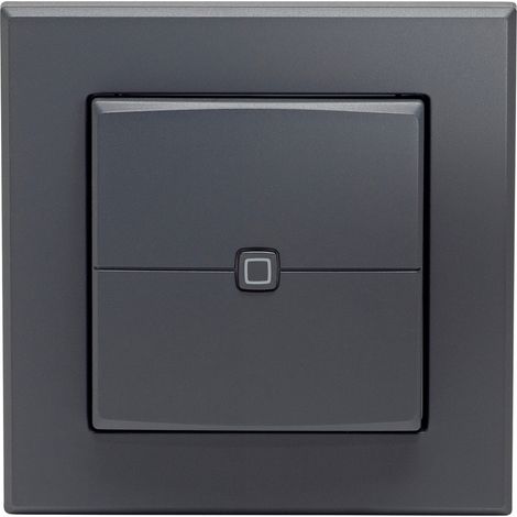 Homematic IP Wandtaster HmIP-WRC2-A-2 (1/5)