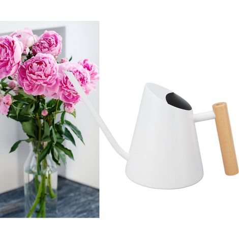 Arrosoir à long bec pour plantes succulentes, arrosoir ménager, manche en bois, arrosoir en acier inoxydable, outil de jardinage, blanc. (1/5)