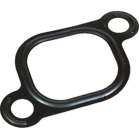 Guarnizione LOMBARDINI 4501101