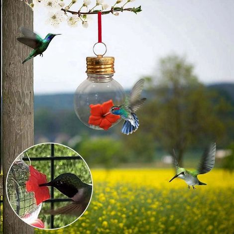 Mason Jar Bird Feeder - Bulb Type Transparent Acrylic Feeder with Silicone Flower Ports - Outdoor Hanging Garden Decoration - 1 Unit (1/5)
