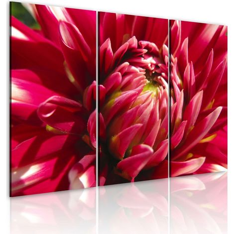 Tableau jardin fleurissant - dahlia - 60 x 40 cm (1/4)