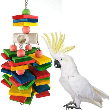 Jouet à mâcher pour oiseaux moyens et grands, mangeoire à brochettes de légumes pour poules, jouet pour perroquet au design unique, stimulation mentale et physique, à suspendre dans la cage (1/5)
