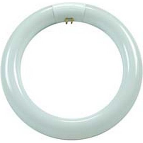 3PZ CIRCOLINE TRIFOSFORO FLUORESCENTI T9 G10Q 40w 6500K fredda 2800 lm 406x30
