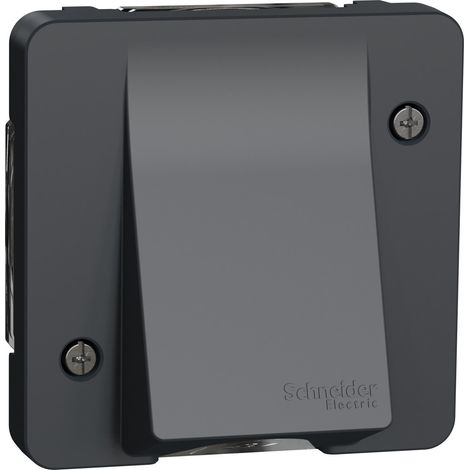 Schneider Electric – Sortie de câble étanche IP55 IK08 avec connexion automatique – Conception composable pour milieux humides – Mureva Styl gris