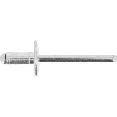 Rivet in alluminio, testa larga in scatola, 4,8 x 10 mm, lotto da 61 (1/4)