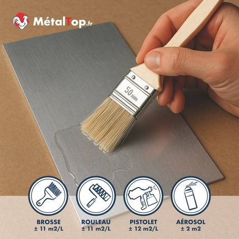 Metaltop – Vernis aluminium incolore 0.4 L – Bombe aérosol 400 mL – Aspect satiné – Protection intérieure et extérieure jusqu'à 12 ans (1/4)