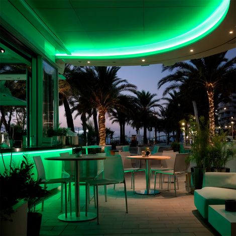 LED-Streifenrolle Neon Dimmbar 220V 50m Grün Rund 360° 9W/m Schnitt 100cm IP67 Grün