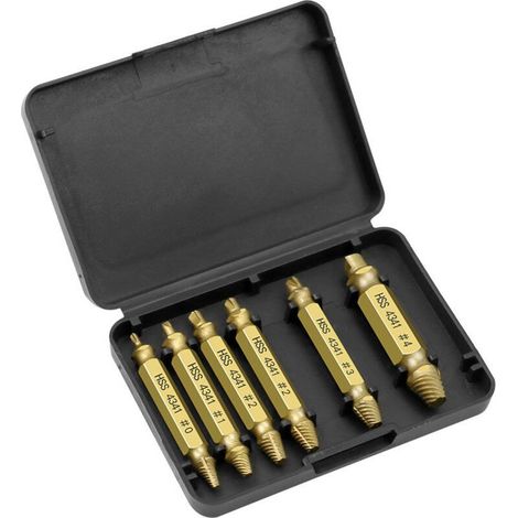 6pcs Kit Extracteur Vis Endommagé à Tête et Extracteur de Boulons pour Retirer les Vis Cassées(Doré) (1/4)