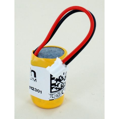 Pile 3.6V Lithium pour VDO Digital Tachygraphe DTCO EMB 6