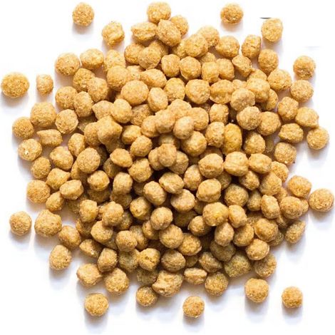 VETAFARM - South American Mix - Granuli per tutto l'anno per RANE, CONUR, AMAZZONI E ALTRI PAPPAGALLI DEL SUD AMERICA 2Kg (1/3)