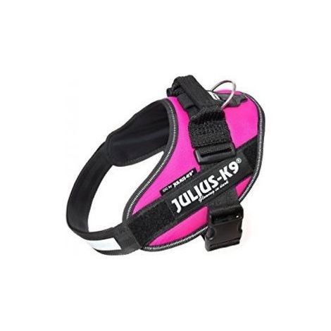 Julius Arnés para Perro IDC 0 Fucsia