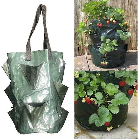 Sac de plantation suspendu pour fraisiers - Sac horticole PE de 3 gallons par (1/5)