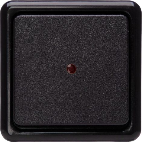 Interrupteur de contrôle en saillie standard noir avec lentille et témoin lumineux intégré, 10 A, 250 V, 514605009