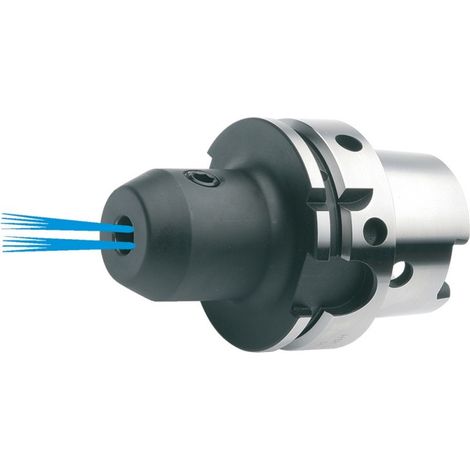 Chuck W Per D69893A Vite M.Kks Hsk-A 63-10X 65 Millimetri