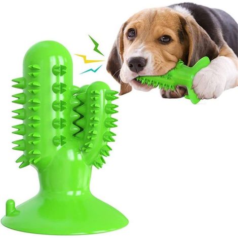 Jouets de dentition pour chiens, utilisés pour nettoyer les molaires, bâtonnets à mâcher résistants (1/5)