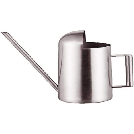 Mini arrosoir, pot de fleur, inox, petit pot à bec long (1/5)
