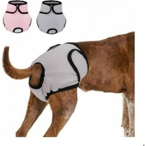 Culotte Réutilisable Chien - KZQ - 37-55CM - Lavable - Absorbante - Confortable (1/4)