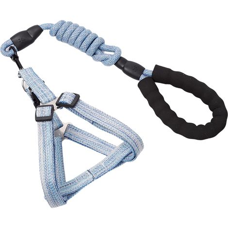 Laisse pour chien, harnais de laisse coulissant, corde longue et résistante pour l'entraînement, la marche et la natation, avec poignée souple (bleu, 1,5 x 120 cm) (1/4)