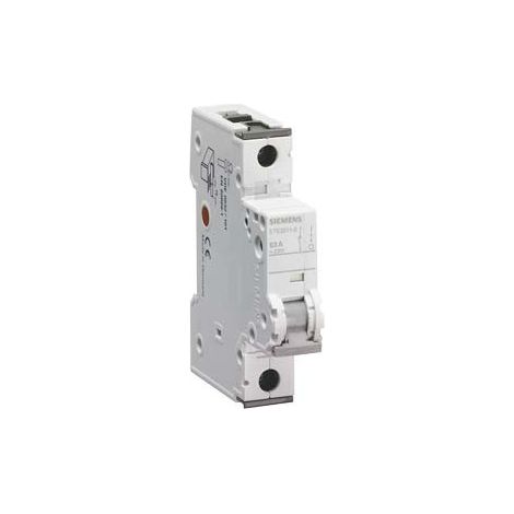 Interruttore Man-Sez 40A 230Vca 1P Access. 1Um (Siemens Cod. 5Te24110)