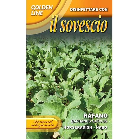 SEMI RAFANO GR.100 FRACHI SEMENTI