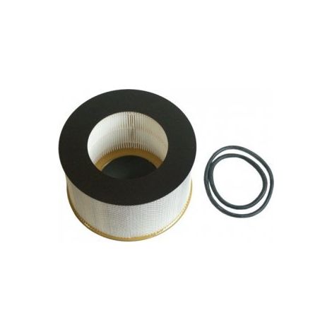 FILTRE HEPA H13 PRO SANS LA CELLULE POUR ASPIRATEUR NILFISK ADVANCE