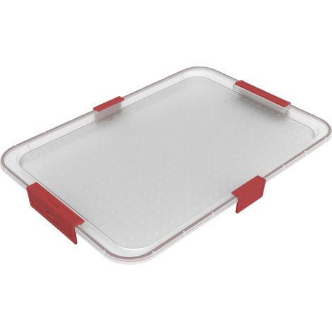 Rotho Deckel mit Dichtung zu Box Albris 45 L rot 56 x 40 x 3 cm (LxBxH) Aufbewahrungsbox