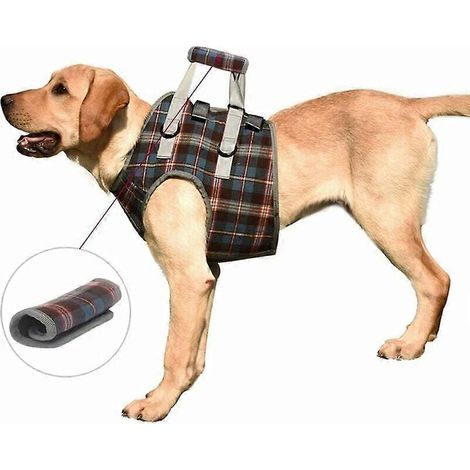 Filiyano – support réglable pour les – Harnais d'assistance pour chiens handicapés, support réglable pour les pattes avant, filet de soutien pour la (1/4)