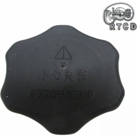 V700003084 Automotive Parts Radiator Cap, Suitable for Borgward (1/5)