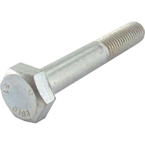 Vis tête héxagonale M10 x 65 mm GGP - CASTELGARDEN 9997-1065-12