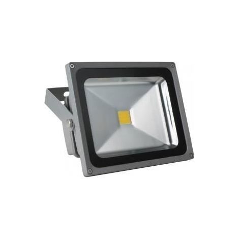 Projecteur LED - EA - 30W - Blanc - Électrique - Extérieur