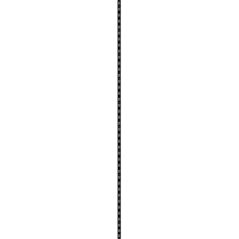 TrendLine Wandschiene 1-reihig schwarz 200 x 2,5 cm