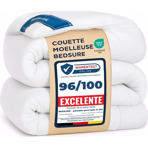 Couette 260x240 4 Saisons - Couette sans Housse 300g/m² (1/5)