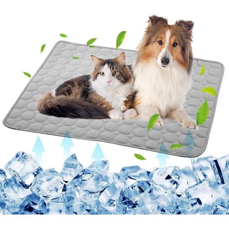 Kühlende Hundematte – Wasser- und stromloses Kühl-Nylongewebe – 70 x 100 cm – Für Hunde von 10 bis 36 kg – 1 Stück (1/5)