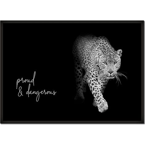 CUADRO, PÓSTER ENMARCADO 53x73 cm Animales P625 (1/4)