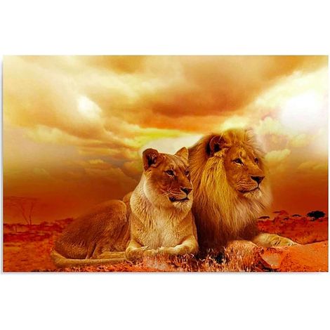 Tableau bois une paire de lions - 50 x 40 cm